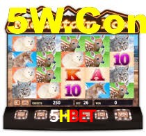 Sinta a adrenalina dos jogos de cassino com 5Hbet
